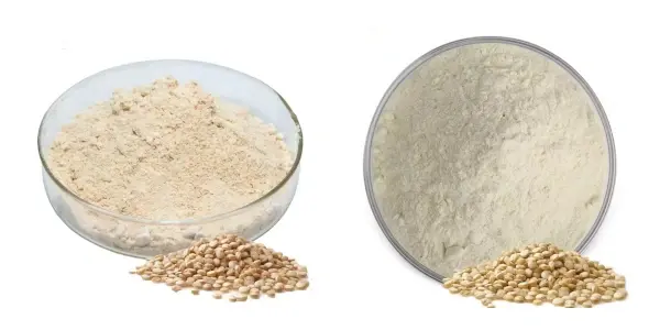 Quinoa Protein Powder.webp